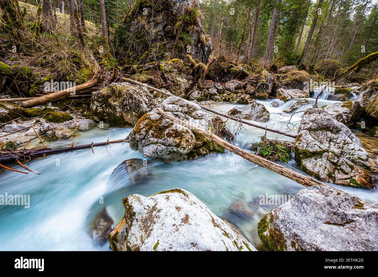 Klarer Alpenbach mit türkisfarbenem Wasser, das über Felsen, Baumstämme und kleine Kaskaden in einem dichten Wald in Berchtesgaden, Bayern, fließt. Moos-Cover Stockfoto