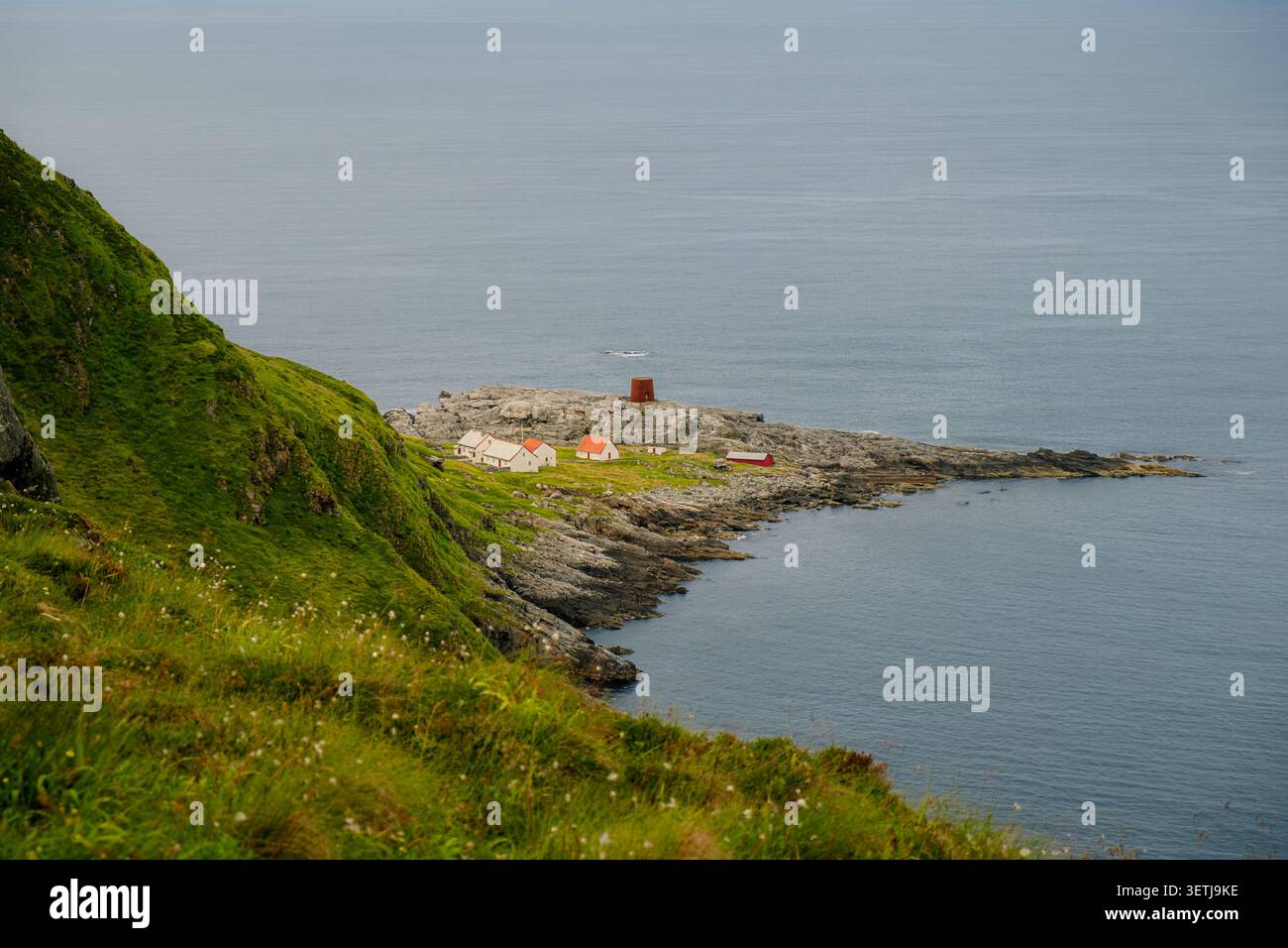 Malerischer Blick auf eine abgelegene Küstensiedlung mit weißen Hütten und roten Dächern auf der Insel Runde in Norwegen, eingebettet an einer felsigen Küste. Stockfoto