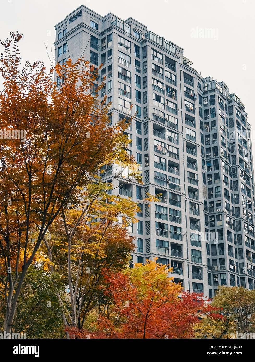 Das schöne Herbstlaub steht im Kontrast zu modernen Apartmenthäusern in einer urbanen Landschaft Stockfoto