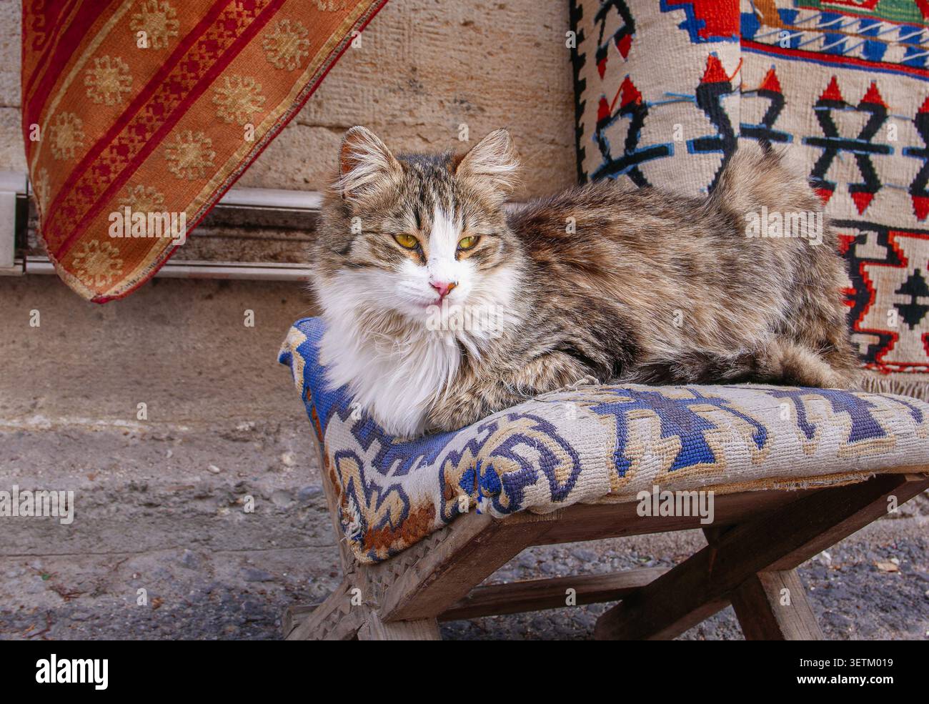 Eine flauschige Katze liegt bequem auf einem kleinen Holzstuhl, der mit einem traditionellen gemusterten Teppich in Kappadokien, Türkei, bedeckt ist, umgeben von bunten Textilien Stockfoto