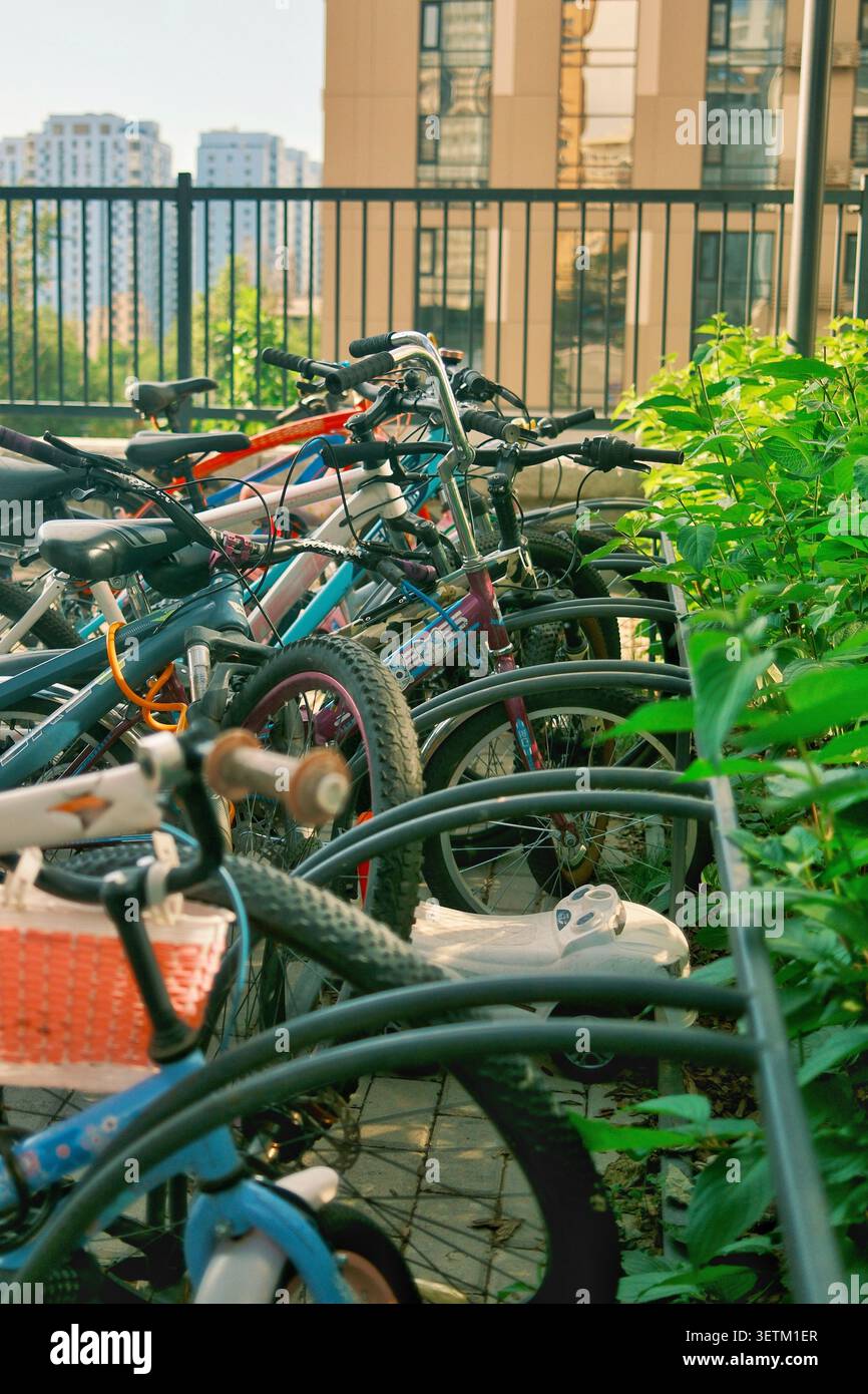 Mehrere Fahrräder parken in einem Innenhof in der Nähe moderner Appartementgebäude. Konzept des nachhaltigen Verkehrs, der urbanen Mobilität Stockfoto
