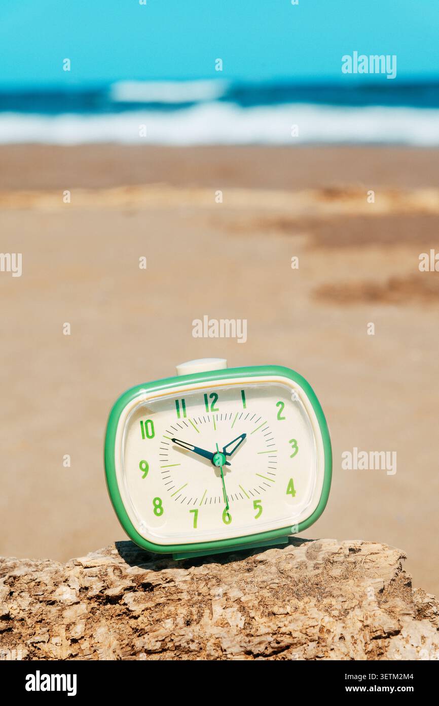 Auf einem verwitterten Stück Treibholz an einem einsamen Strand thront ein mintgrüner Wecker, der fast zehn bis zwei Stände vor einem Hintergrund weicher Wa zeigt Stockfoto