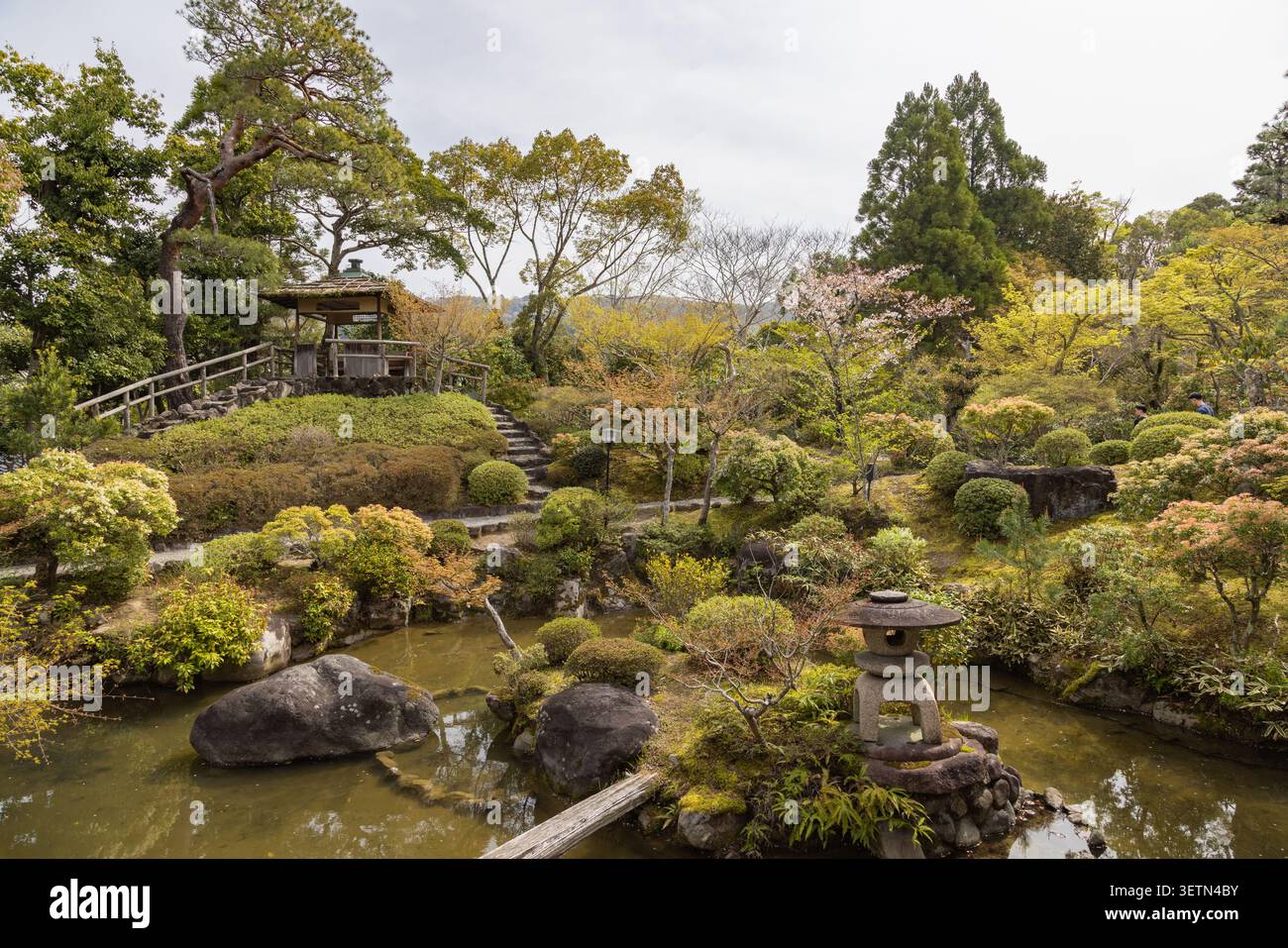 Teichgarten im Yoshikien-Garten in Nara, Japan, mit einer Steinlaterne und traditionellen Gebäuden zwischen gestalteten Bepflanzungen. Stockfoto