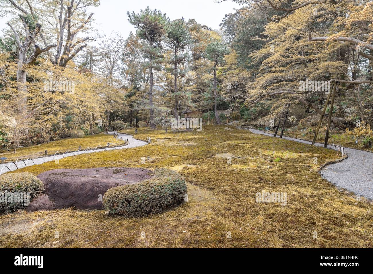 Moosgarten und gewundene Pfade im Yoshikien-Garten, einem traditionellen japanischen Garten in Nara, Japan. Stockfoto