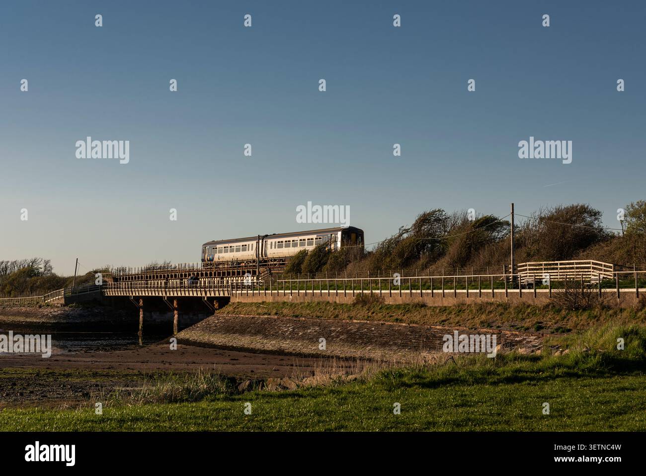 Der Zug der Northern Railway fährt nach Süden auf der Brücke über den Fluss Milbe, der sich Ravenglass nähert; wolkenloser blauer Himmel, warme Abendsonne, Ebbe. Stockfoto