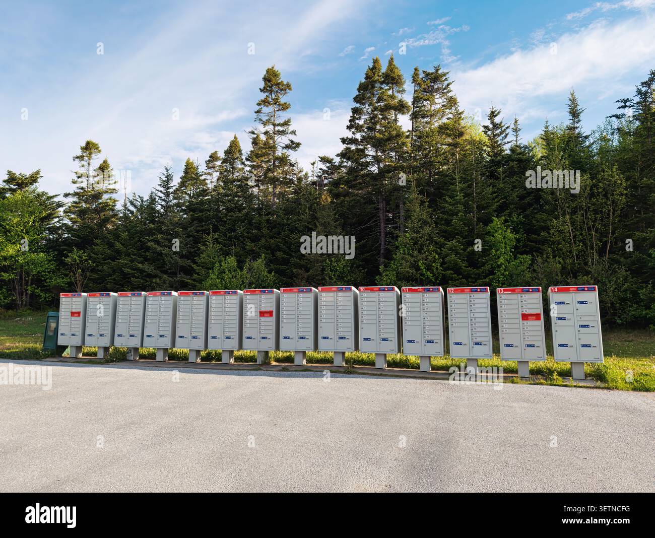 An einer ruhigen Straße, die von einem üppigen immergrünen Wald umgeben ist, befindet sich eine Reihe von vierzehn grauen Postfächern. Diese typische kanadische Post-infras Stockfoto
