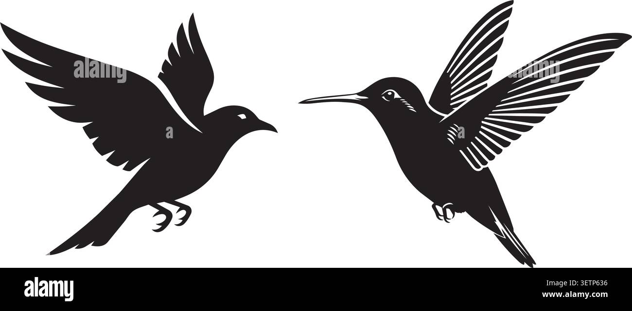 Zwei elegante, schwarze Silhouette-Vögel in der Mitte des Fluges mit vollständig ausgebreiteten Flügeln, die anmutige Bewegungen und einen Kontrast zu einem klaren Hintergrund zeigen. Stock Vektor