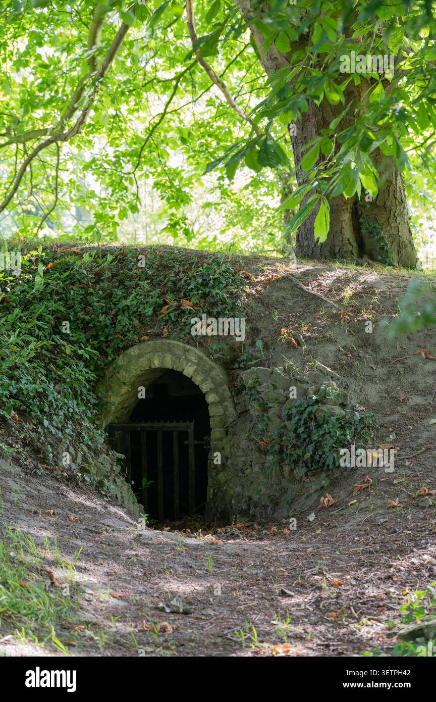 Moosbedeckter Steineingang zum dunklen Baumwurzelkeller unter einem grünen Baldachin Stockfoto