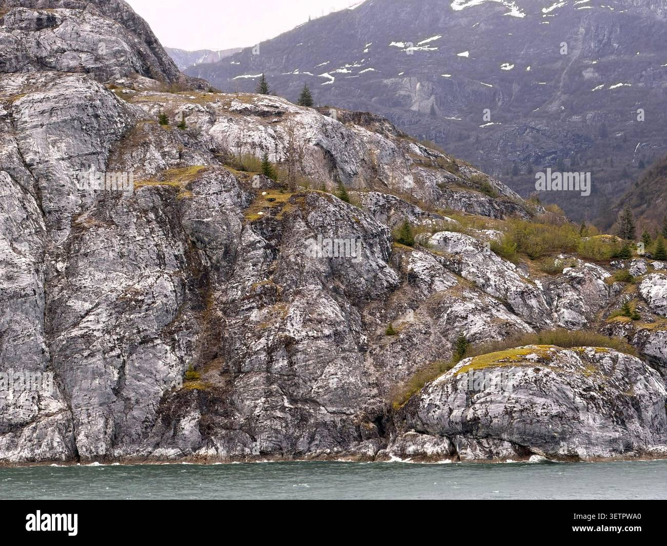Die felsige, bergige Küste des Glacier Bay National Park, mit zwei Bergziegen, an einem sehr bewölkten und nebeligen Tag, im Frühjahr, in Alaska, USA - Smartphone-aufgenommenes Stockfoto