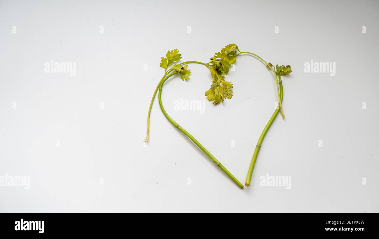 Umweltfreundlicher biologisch abbaubarer Lebensmittelabfall, gut für die Erde Stockfoto