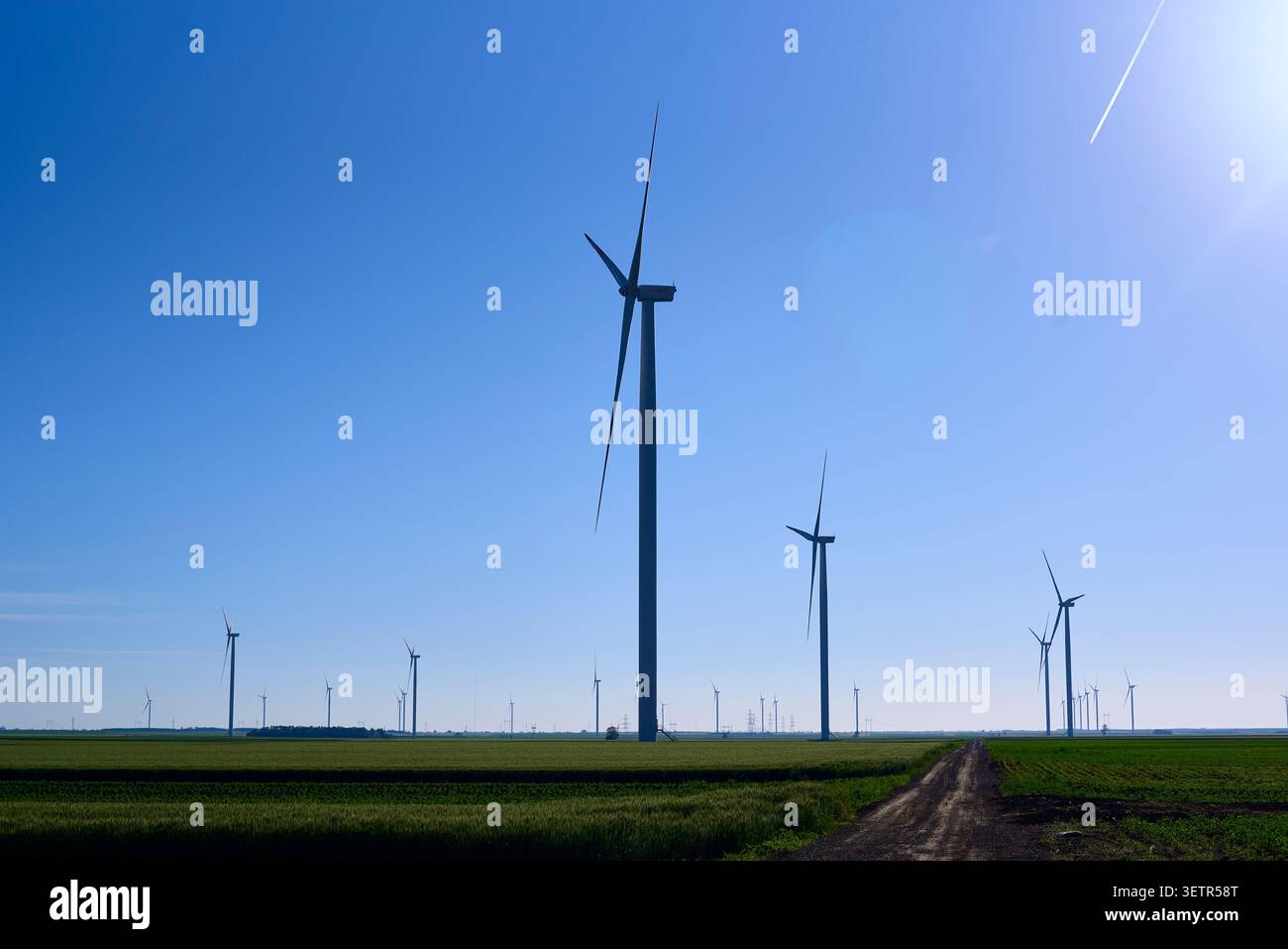 Foto einer Windfarm mit Turbinen in einem grünen Feld unter einem klaren blauen Himmel Stockfoto
