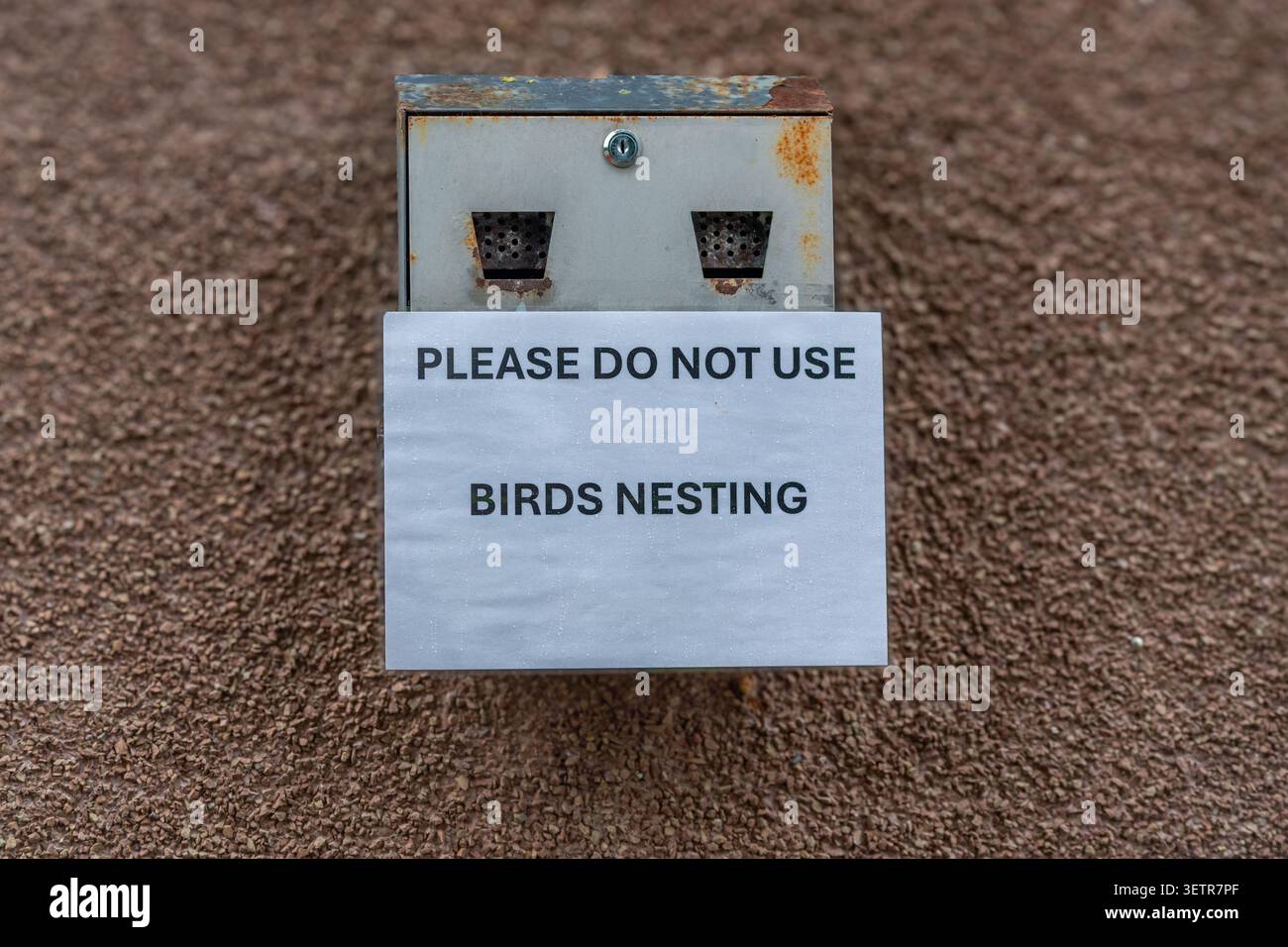 Beachten Sie, dass auf einer Zigarettenkiste jetzt eine Vogelkiste steht, die besagt: Bitte verwenden Sie keine Vögel, die nisten. Stockfoto