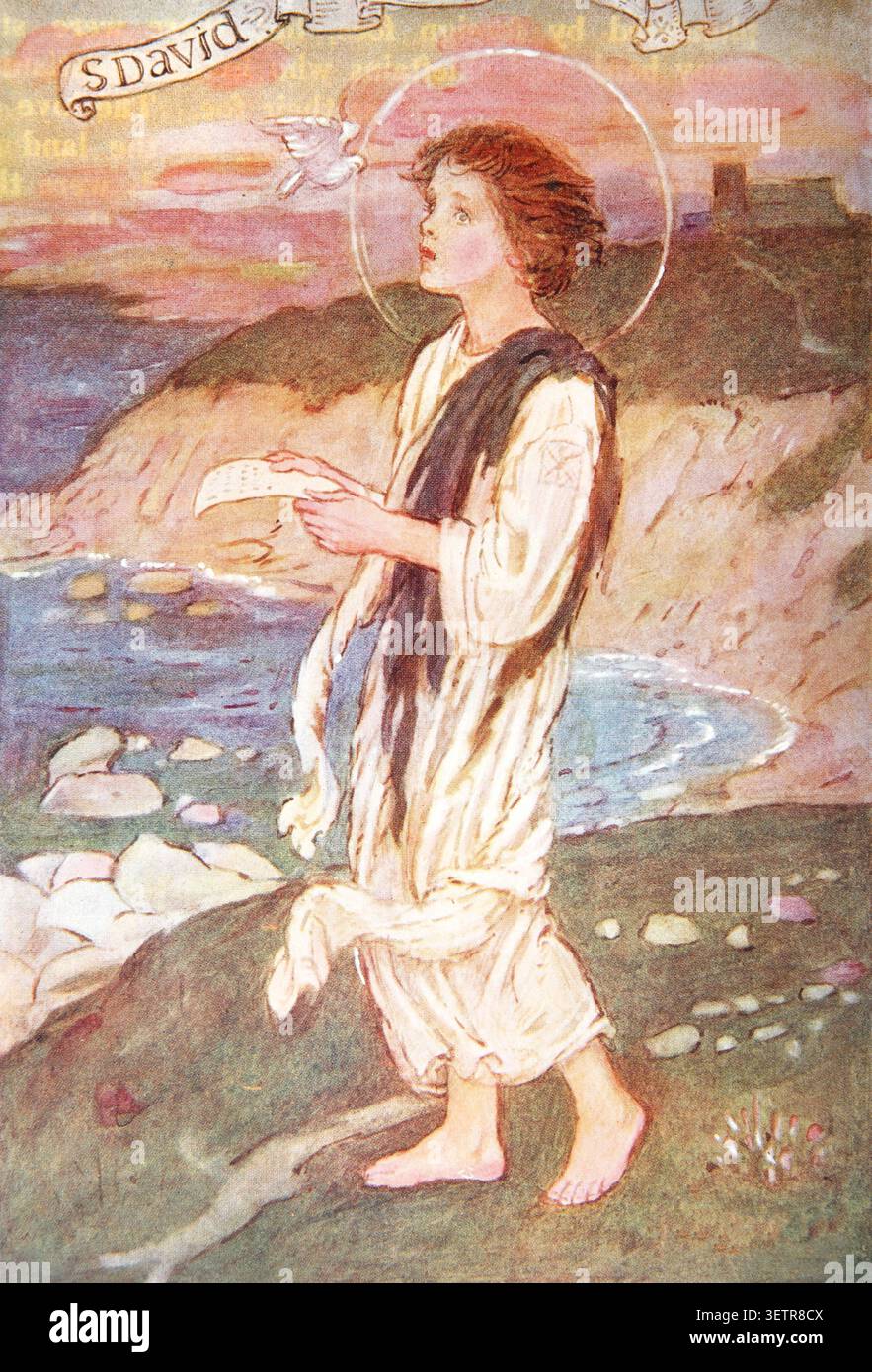 Illustration von Saint David an der Küste aus der Ausgabe von 1912 von Unserer Inselheiligen Geschichten für Kinder von Amy Steedman Illustration von M.D.Spooner Stockfoto