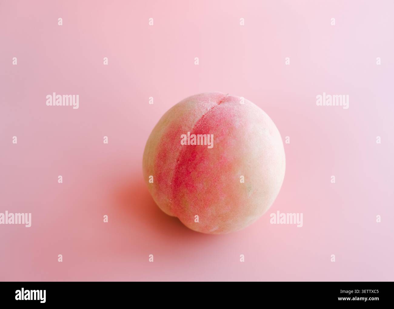 Einzelner reifer Pfirsich auf weichem rosafarbenem Hintergrund mit sanftem Licht und einem sauberen minimalen Look. Frisches Stillleben mit Sommerfrüchten in Pastelltönen und Kopierraum Stockfoto