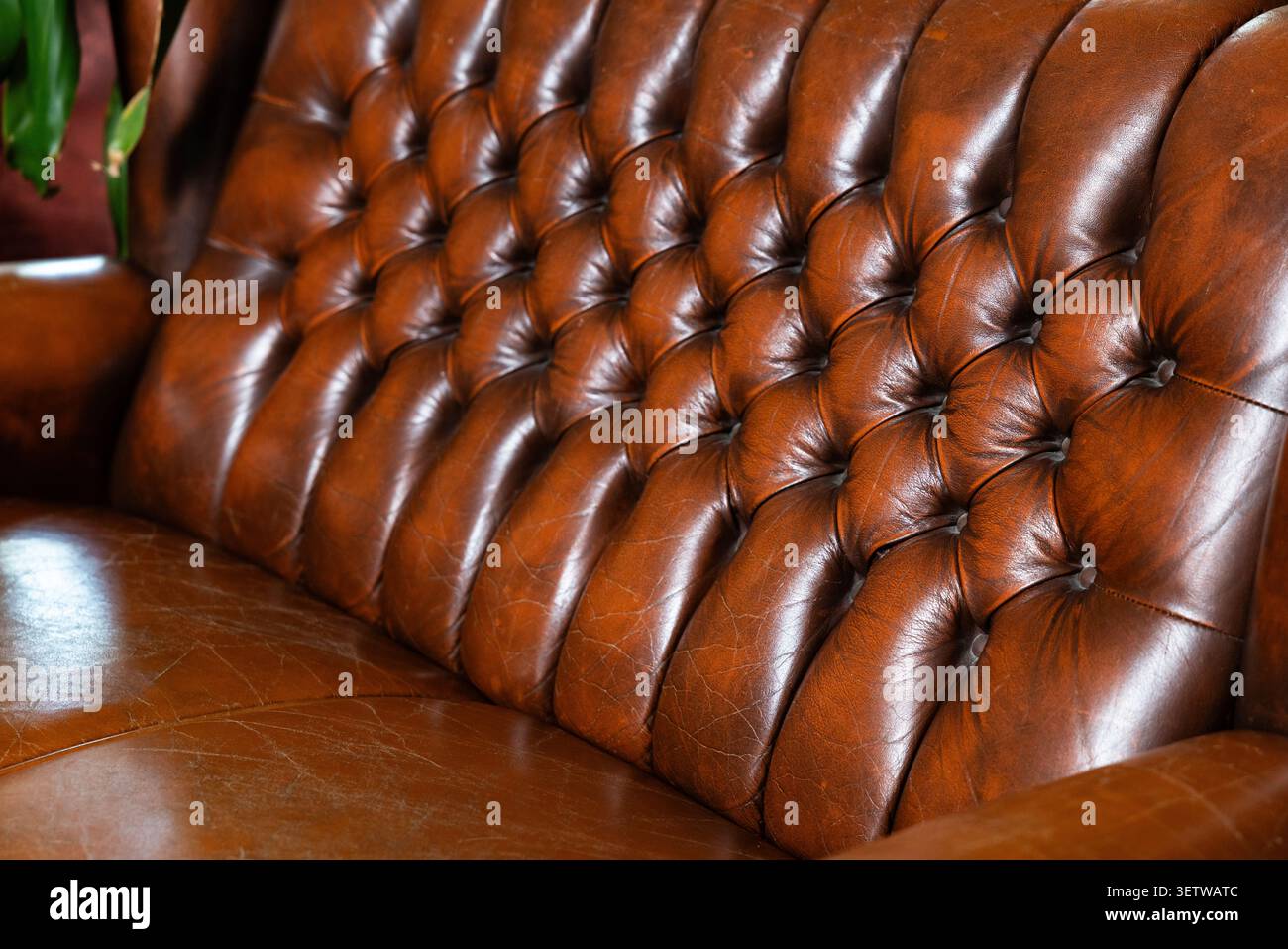 Klassisches braunes Chesterfield-Sofa aus Leder Stockfoto