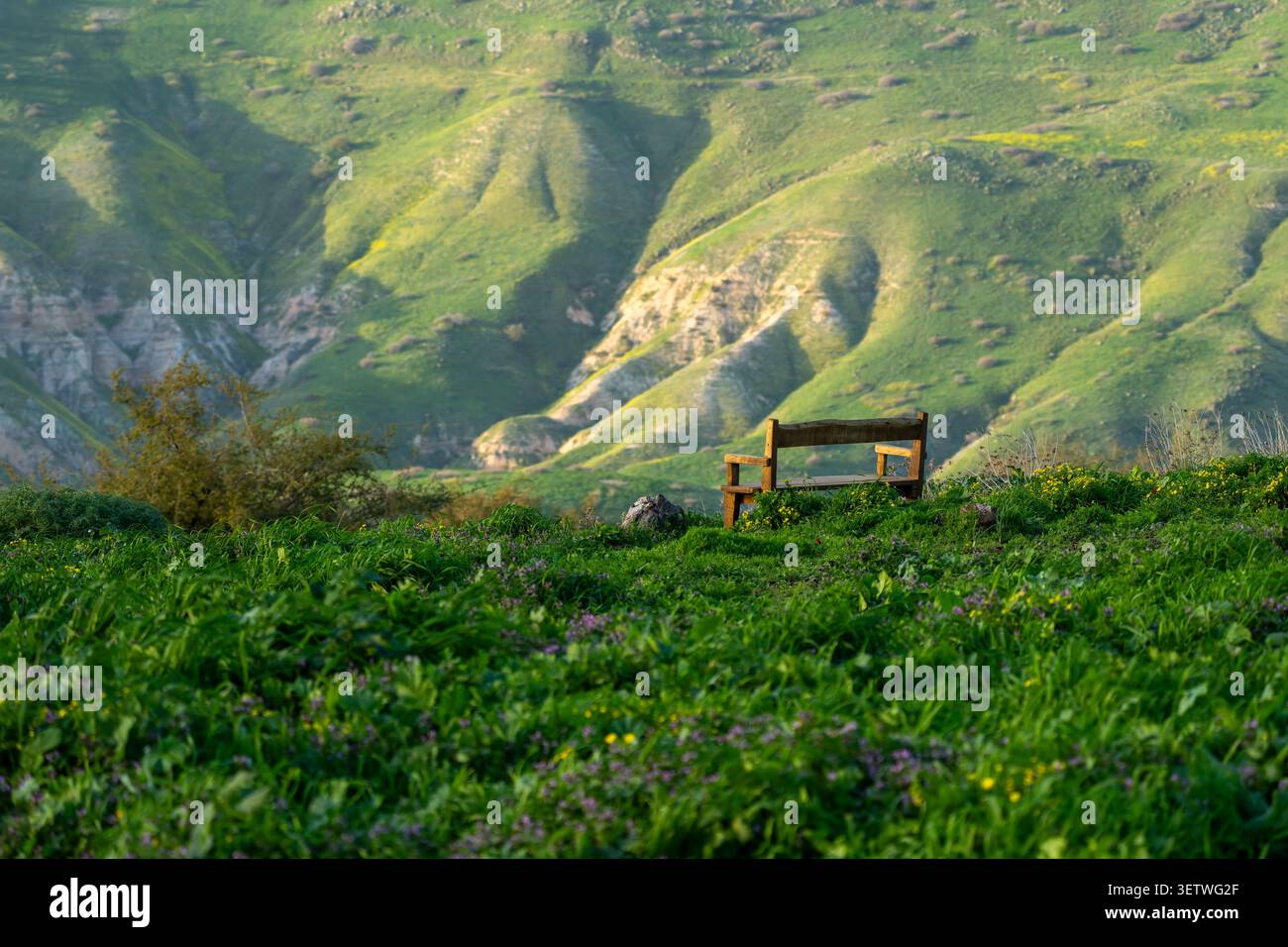 Leere Holzbank mit friedlichem Blick auf die lebhaften grünen Hügel und Hänge der Golanhöhen, einladend zur Nachsicht und zur ruhigen Entspannung Stockfoto
