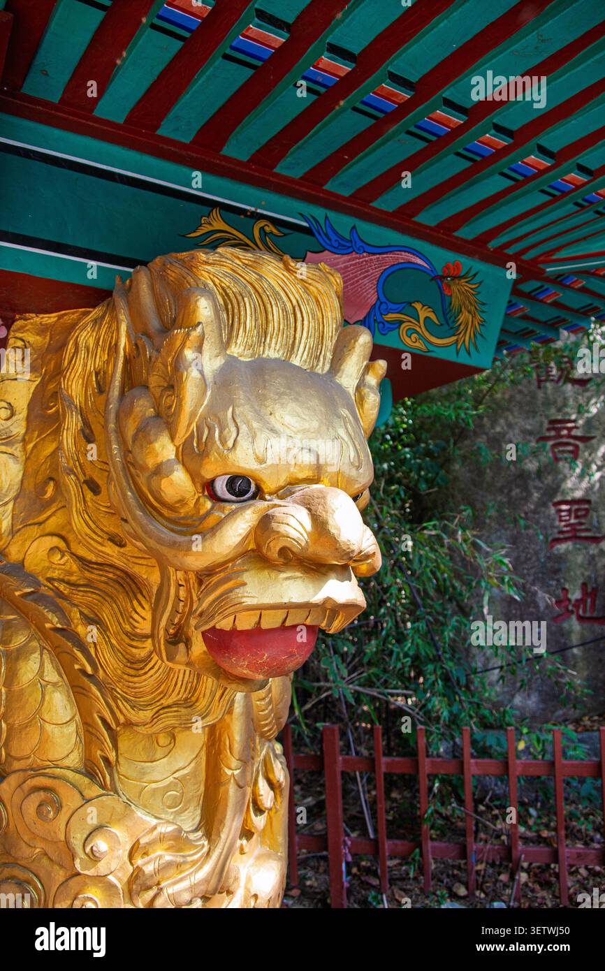 Goldene Drachenskulptur im Haedong Yonggungsa Tempel in Busan Stockfoto