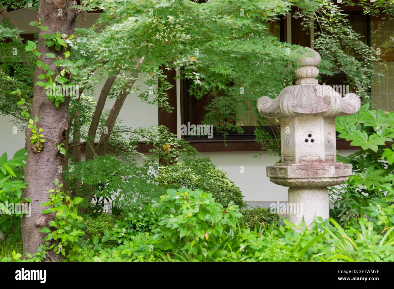 Traditionelle japanische Steinlaterne umgeben von üppigem Grün, ruhiger Zen-Garten, der den japanischen Minimalismus und die Ästhetik von Wabi Sabi widerspiegelt Stockfoto