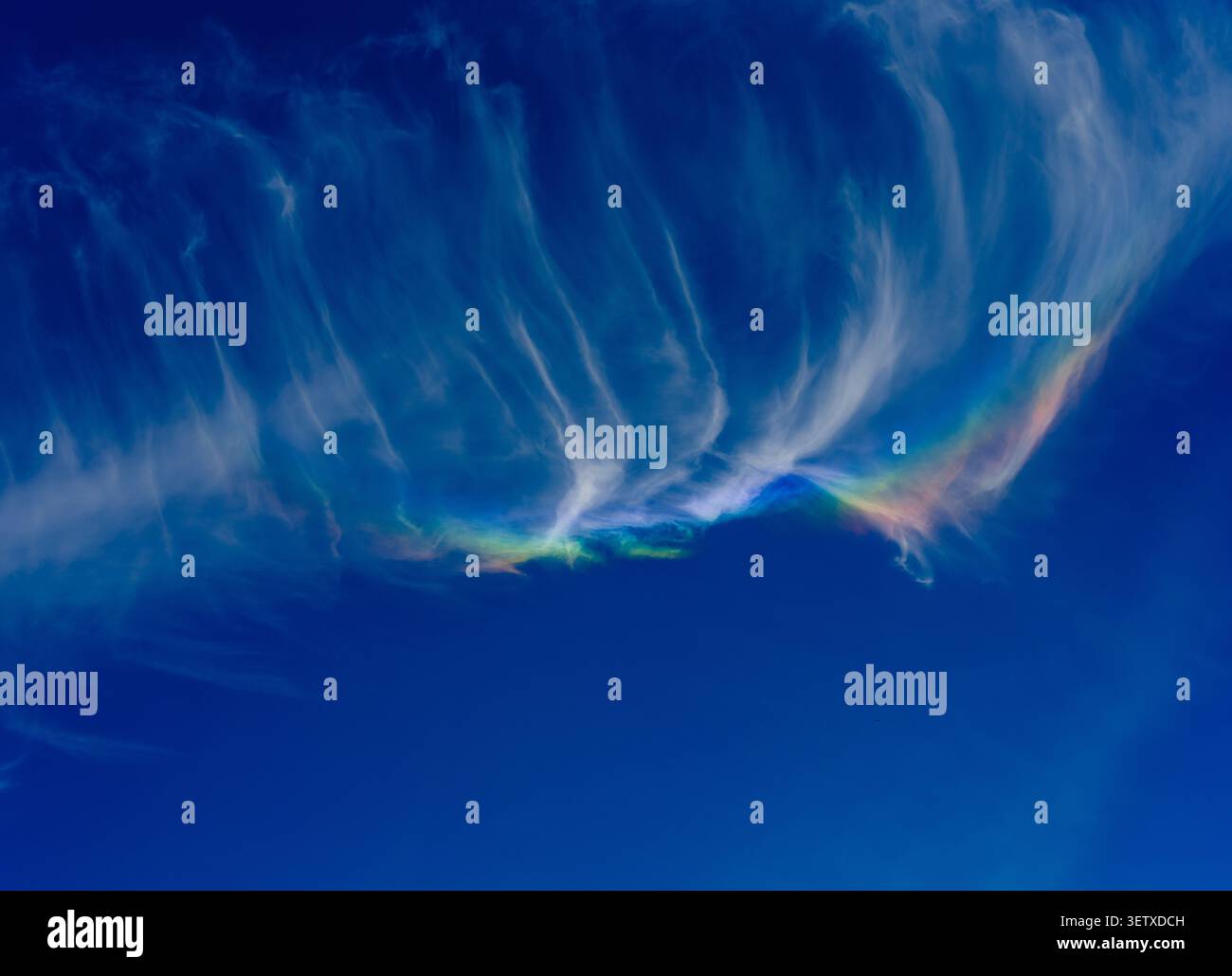 Irideszente Wolken bilden sich über Südengland, ein visuelles Phänomen, das Farben innerhalb der Wolkenformation zeigt. Stockfoto
