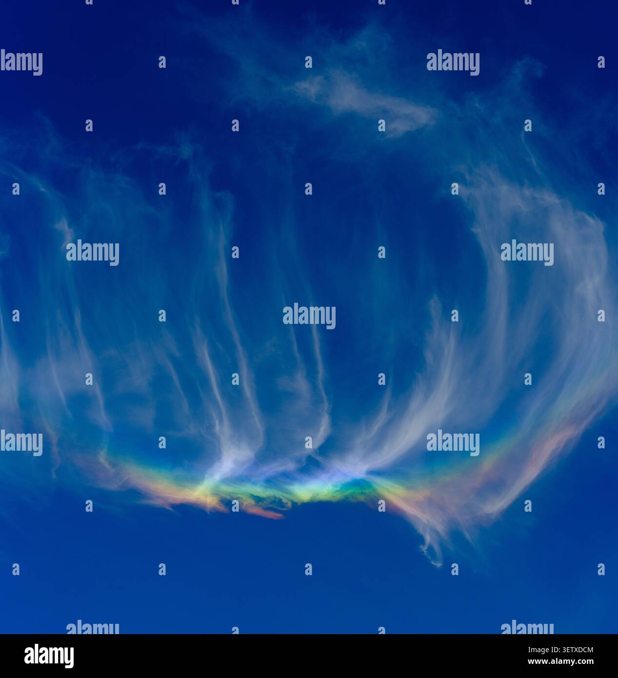 Irideszente Wolken bilden sich über Südengland, ein visuelles Phänomen, das Farben innerhalb der Wolkenformation zeigt. Stockfoto