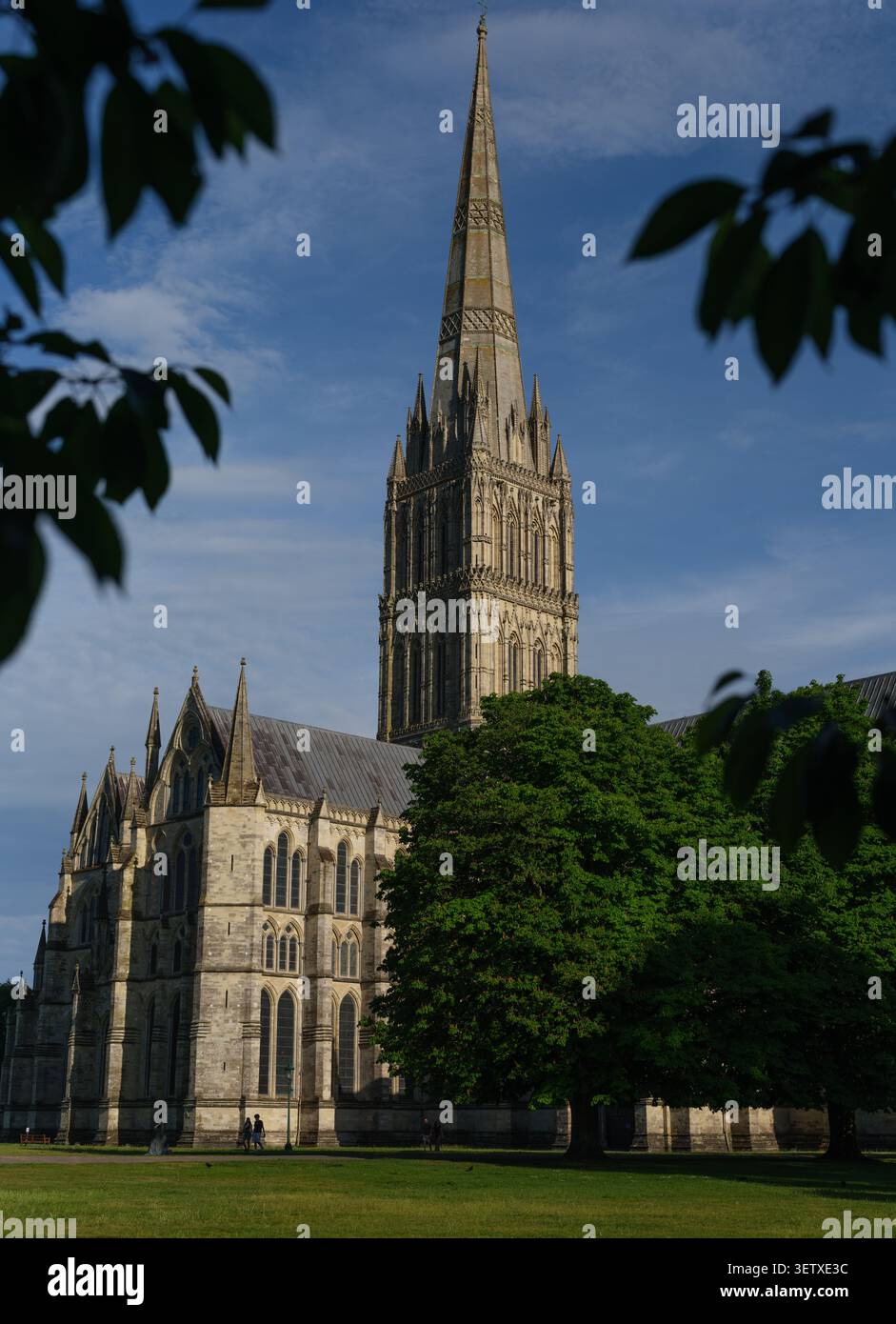 Ein Blick auf die Kathedrale von Salisbury mit Turm und Turm, eingerahmt von Bäumen. Dies ist ein mittelformatiges Bild mit großer Auflösung. Stockfoto