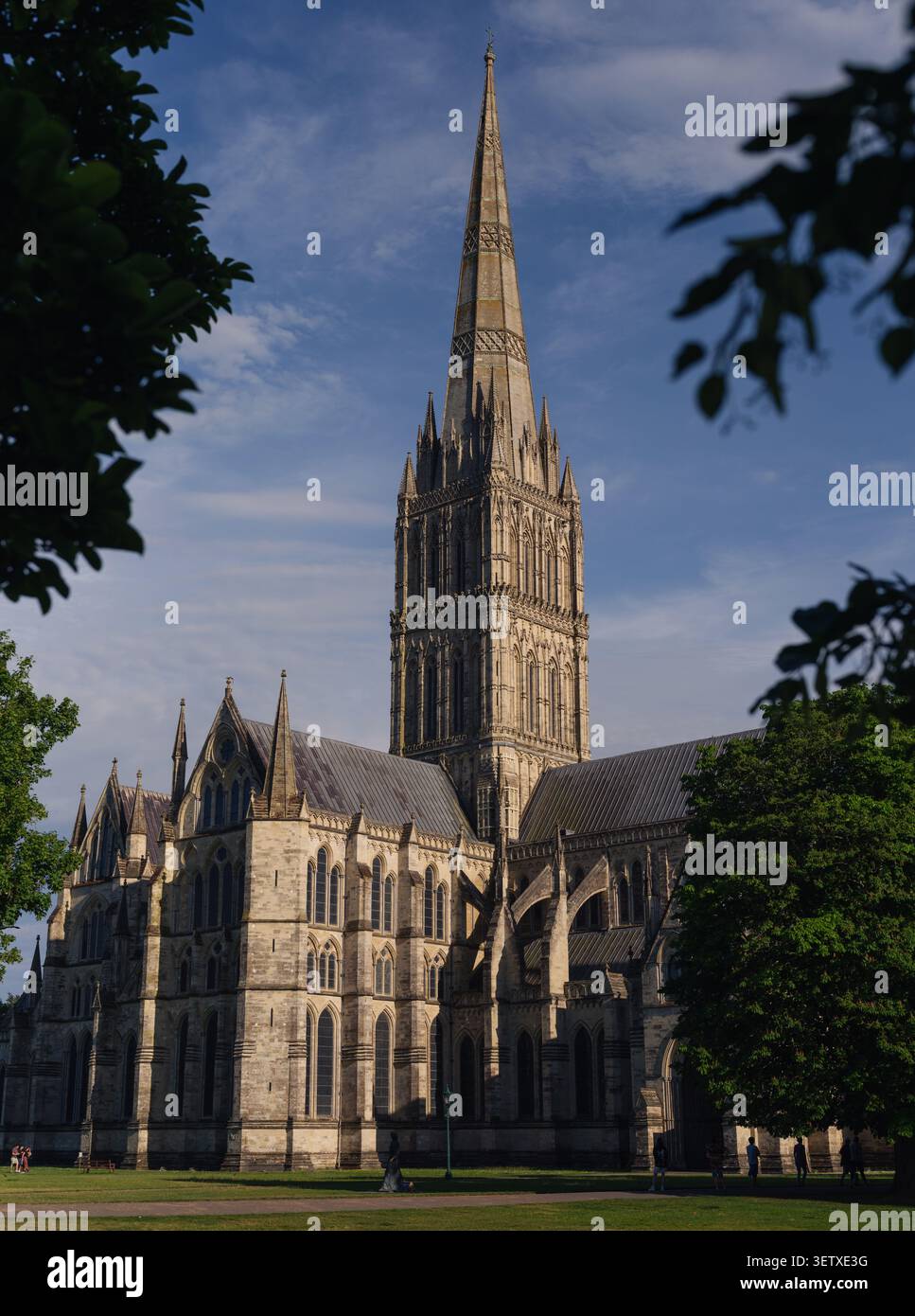 Ein Blick auf die Kathedrale von Salisbury mit Turm und Turm, eingerahmt von Bäumen. Dies ist ein mittelformatiges Bild mit großer Auflösung. Stockfoto