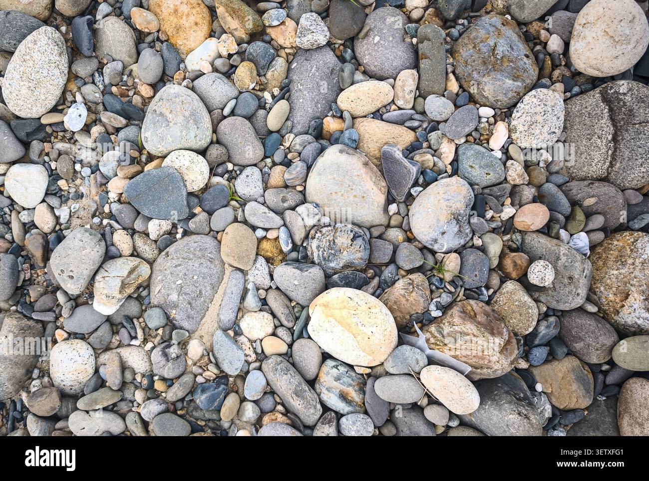 Natürlicher Kieselsteinhintergrund mit verschiedenen glatten Flussfelsen und Kies-Textur, Top View abstraktes Naturmuster Stockfoto