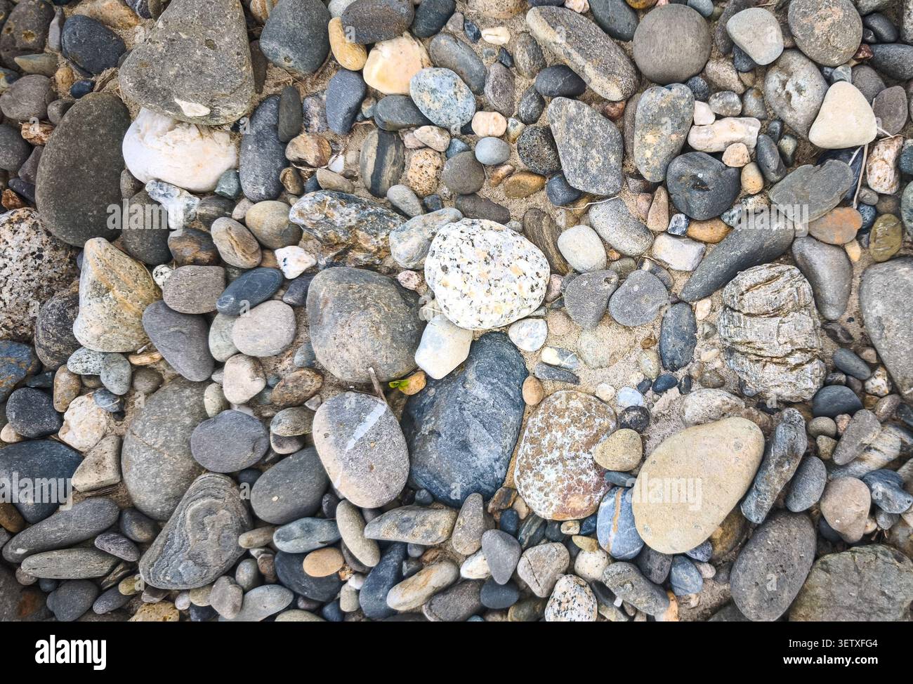 Natürlicher Kieselsteinhintergrund mit verschiedenen glatten Flussfelsen und Kies-Textur, Top View abstraktes Naturmuster Stockfoto