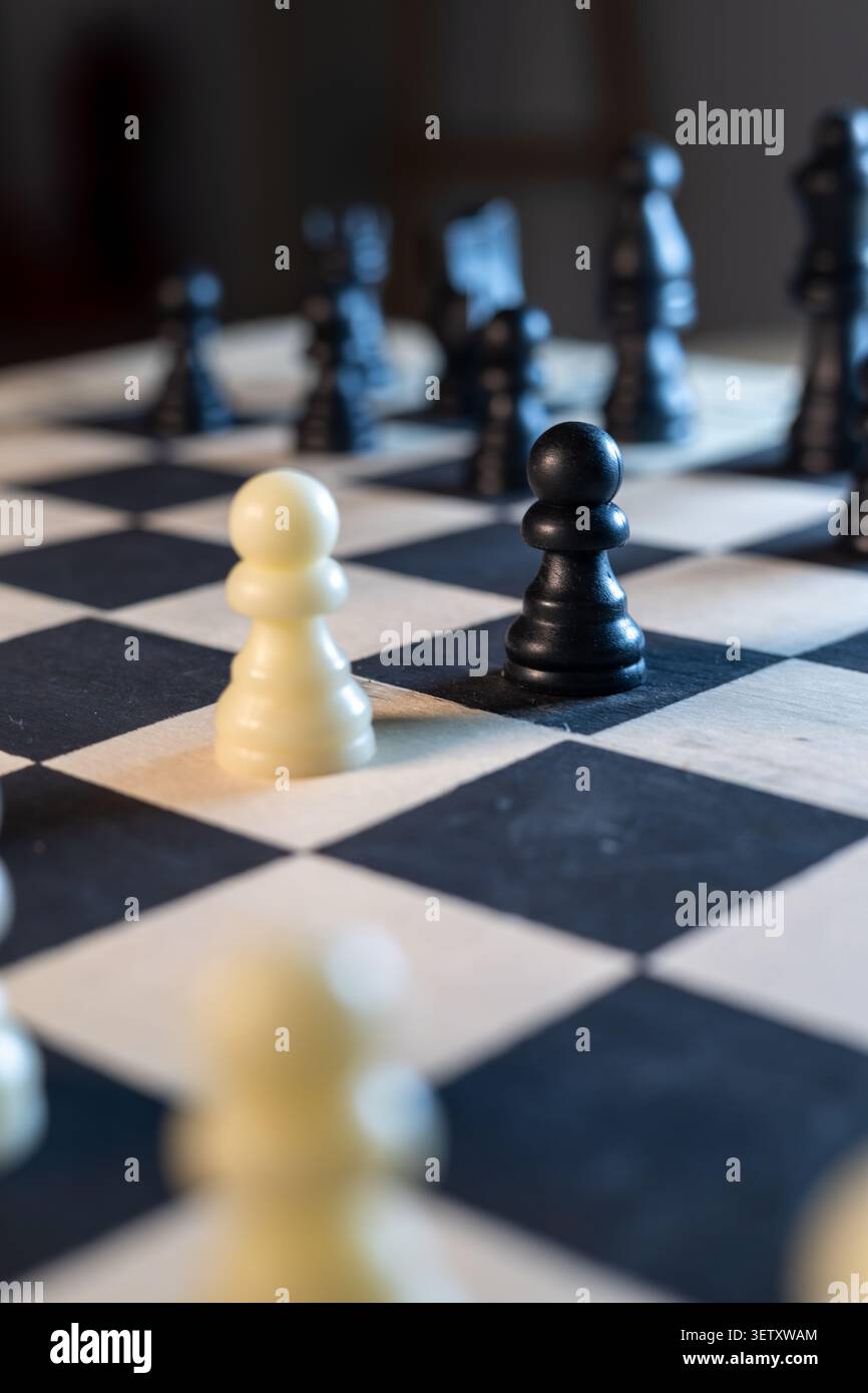 Schwarze und weiße Schachfiguren stehen sich auf dem Schachbrett gegenüber Stockfoto