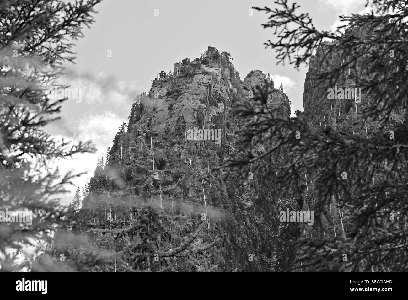 Hoch aufragende Felsklippen erheben sich über einem dichten immergrünen Wald unter einem hellblauen Himmel in den Cascade Mountains von Washington, eingerahmt von grünen Kiefernästen Stockfoto