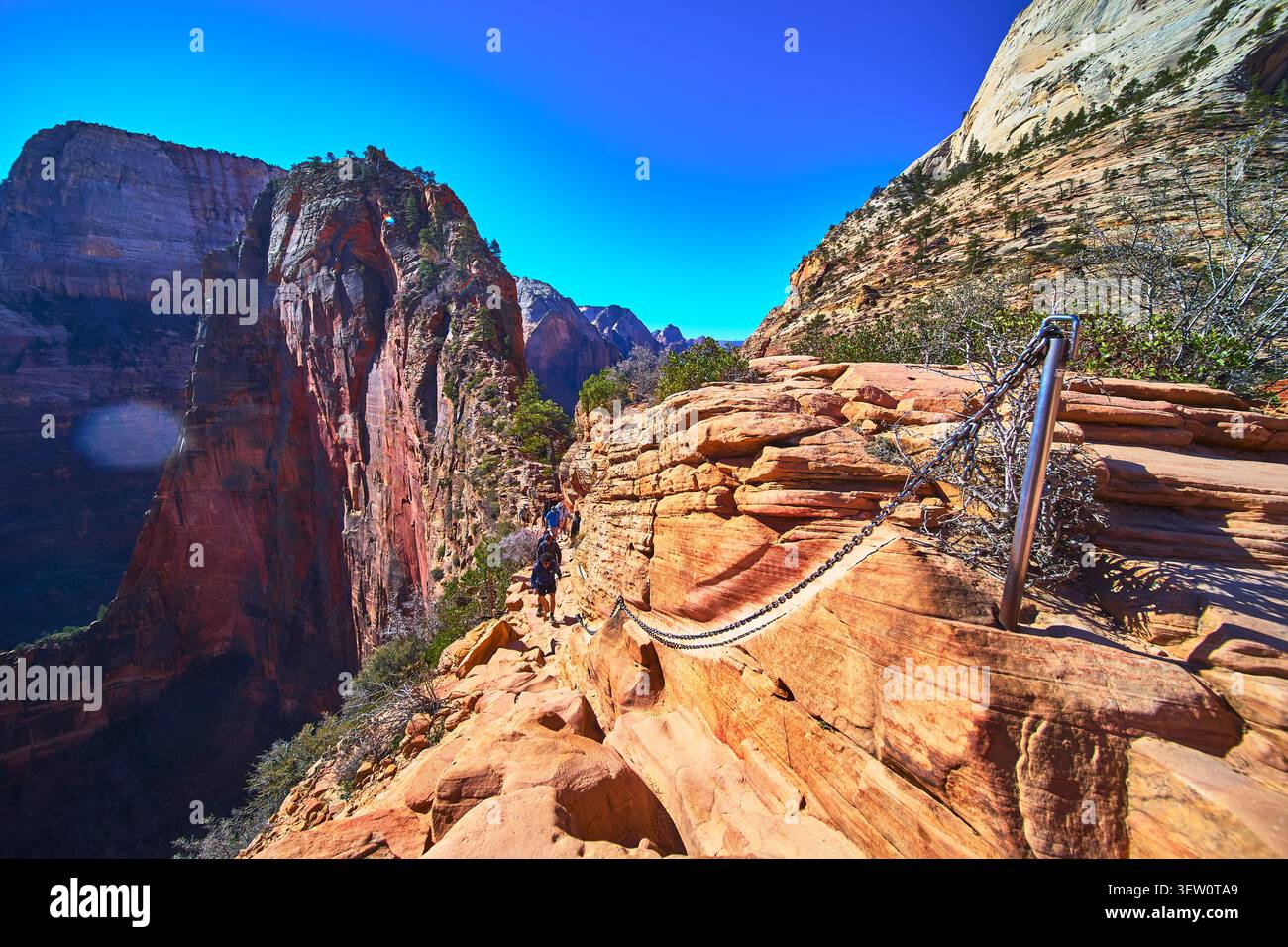 Angels Landing Trail Chain Section und Wanderer auf den dramatischen Red Cliffs Utah Stockfoto