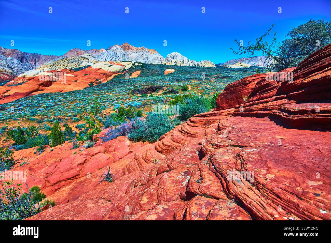 Red Rock Formations Wüstenvegetation und Klippen im Snow Canyon State Park Utah Stockfoto