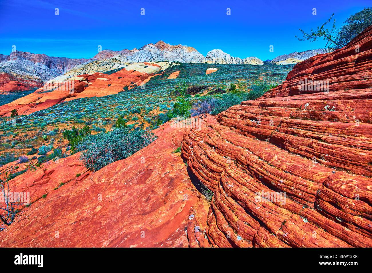 Rote Sandsteinformationen und farbenfrohe Wüstenlandschaft im Snow Canyon State Park Utah Stockfoto