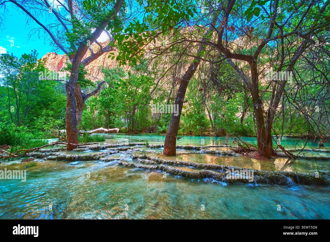 Ruhiger, terrassenförmig angelegter Fluss und üppige Bäume mit Canyon Cliff in der lebendigen Landschaft von Arizona Stockfoto