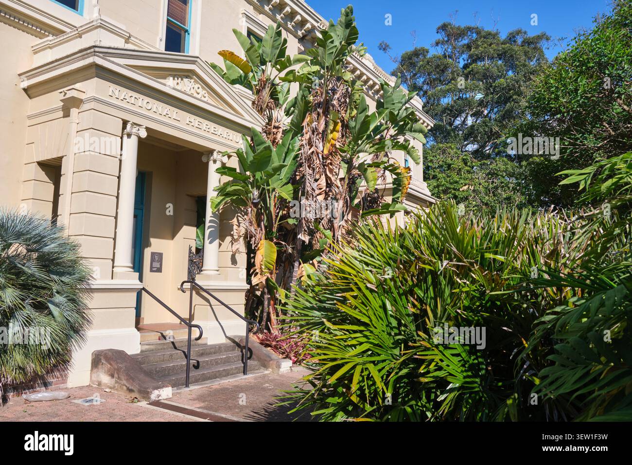 Fassade des ikonischen, alten, traditionellen National Herbarium Museum Gebäude. Im Sydney Royal Botanic Garden in NSW, Australien. Stockfoto