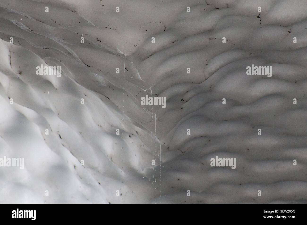 Nahaufnahme einer strukturierten Eiswand in einer Schneehöhle am Big Four Mountain, Washington, mit komplizierten gefrorenen Mustern und natürlichen abstrakten Formationen. Stockfoto