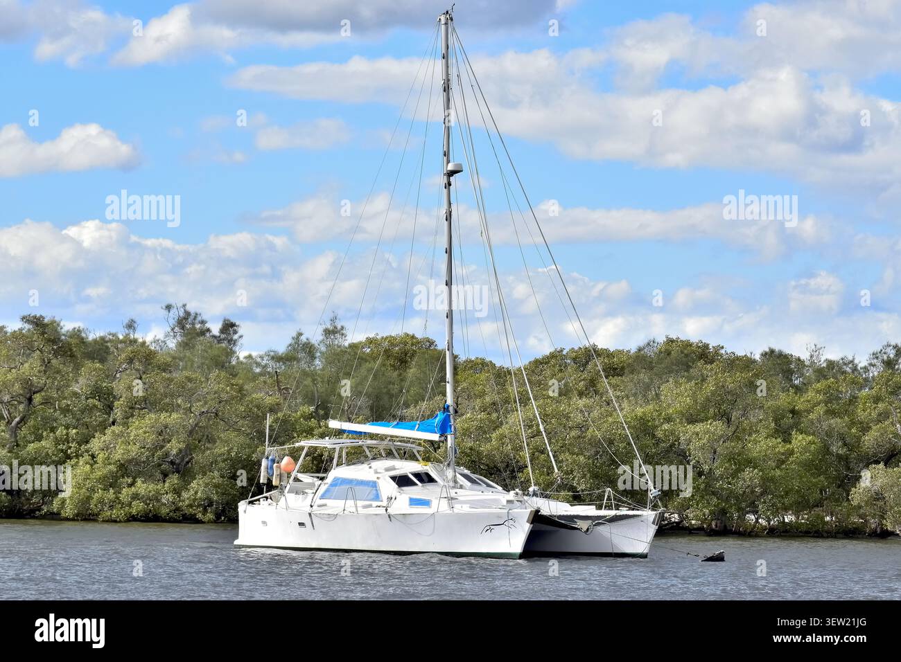 Ein weißer Katamaran ruht auf ruhigem Wasser in der Nähe eines dicht bewaldeten Ufers. Stockfoto
