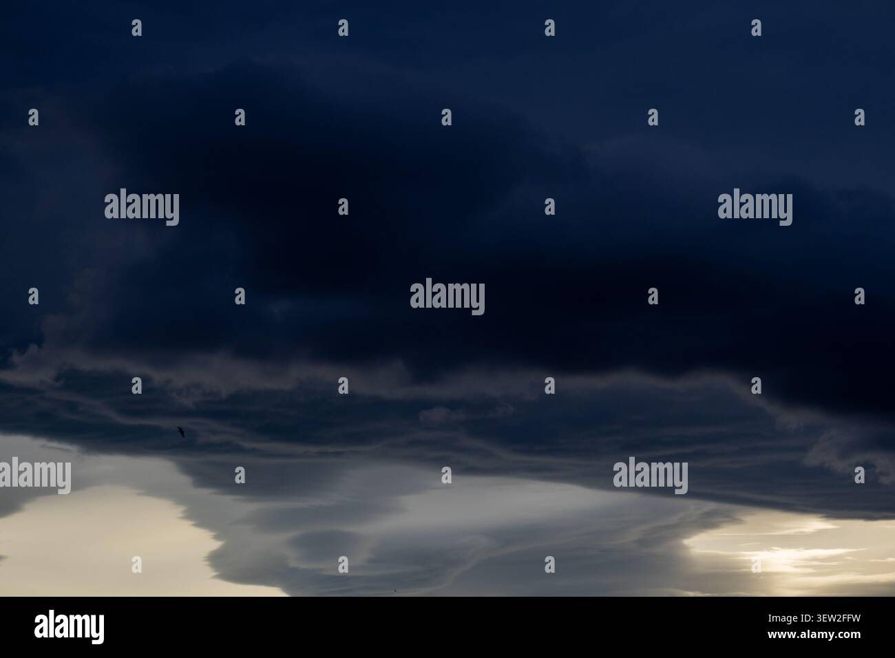 Dramatisch stürmischer Himmel mit dunklen, marineblauen Wolken über hellen unteren Wolkenformationen mit einem winzigen Vogel im Flug und Licht am Horizont Stockfoto