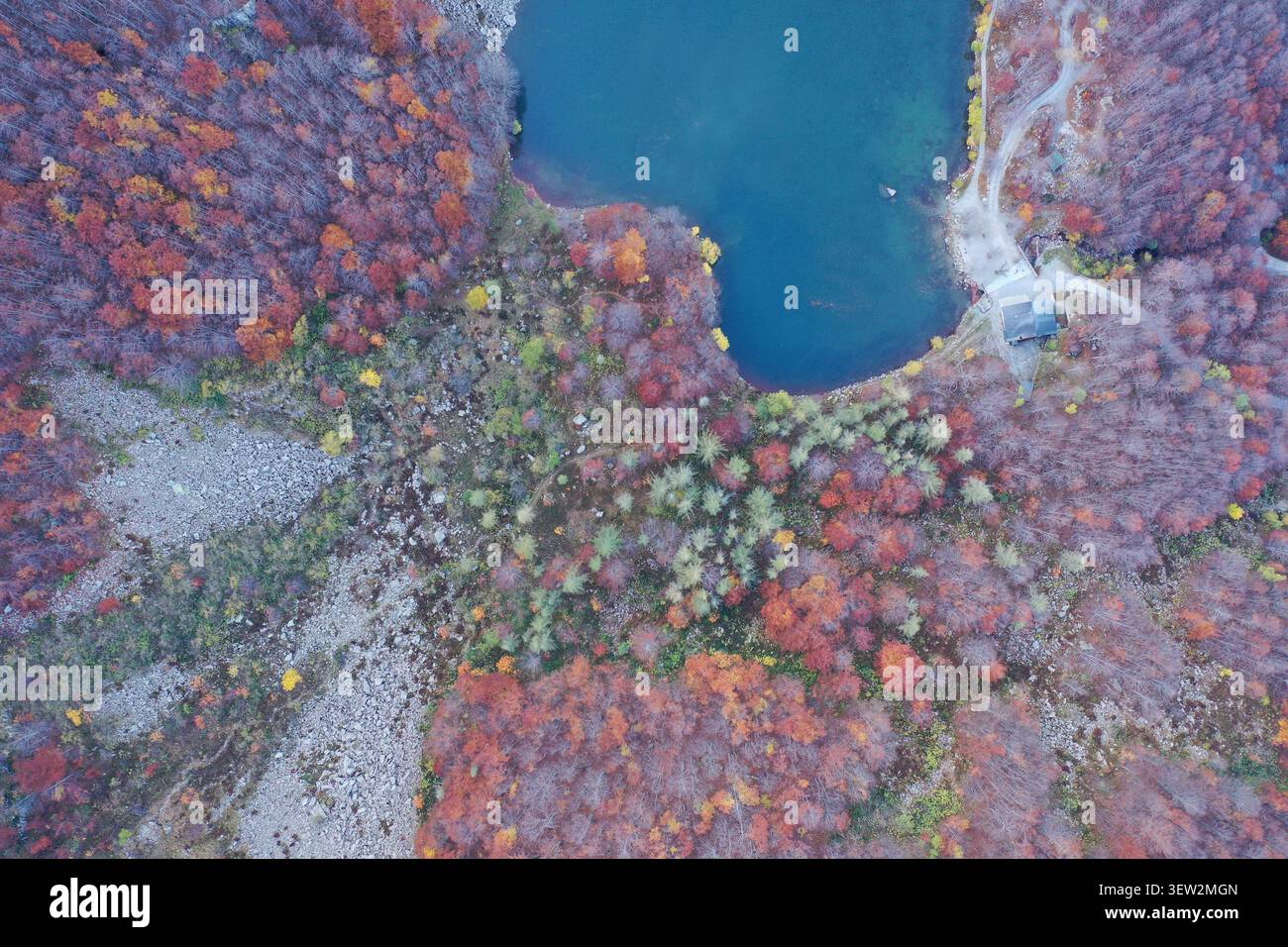 Blick aus der Vogelperspektive auf den Lago Nero, umgeben von lebhaftem Herbstlaub in den Wäldern von Abetone Cutigliano, Toskana, Italien. Stockfoto