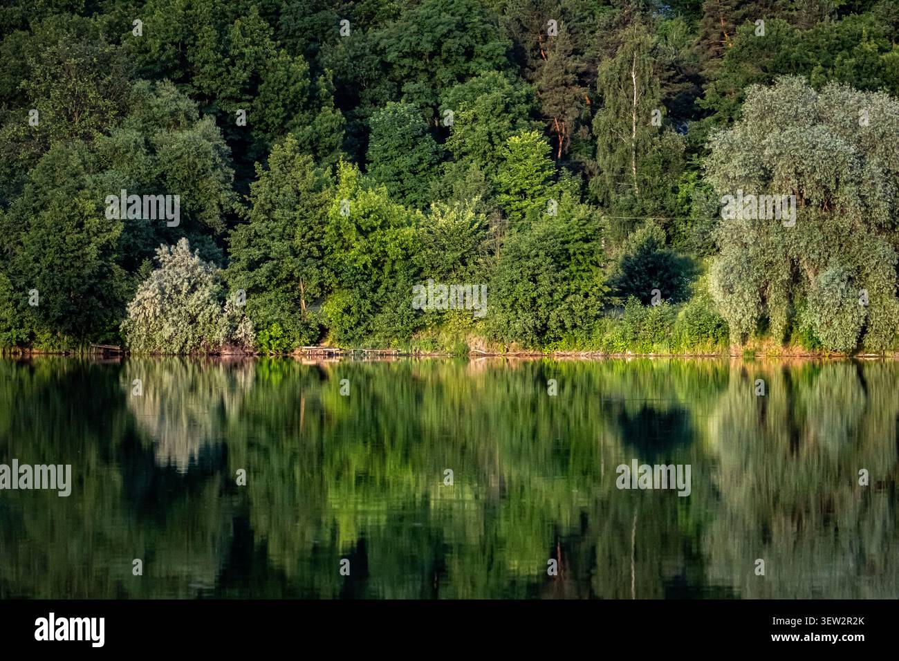 Dunkle Kiefern und silbrige Weiden sammeln sich am Seeufer, wo sich Reflexionen wie nasse Farbe ansammeln. Das Ufer ist ruhig und tief mit Farbe und dem stillen Wasser Stockfoto
