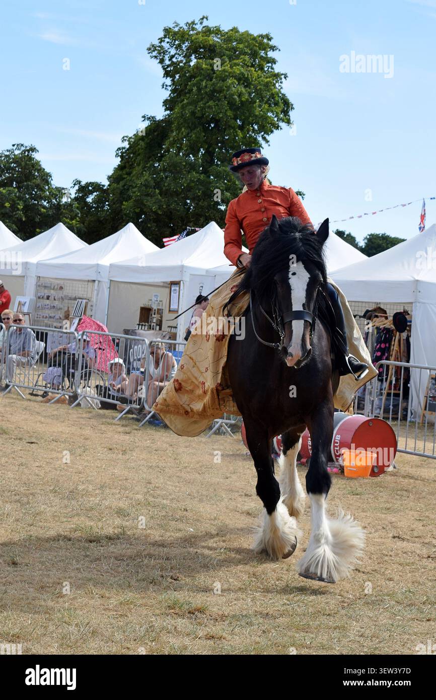 Cambridge, Cambridgeshire, England, Großbritannien - 7. August 2022: Shire Horse and Rider nehmen an der Cambridge Country Show teil. Stockfoto