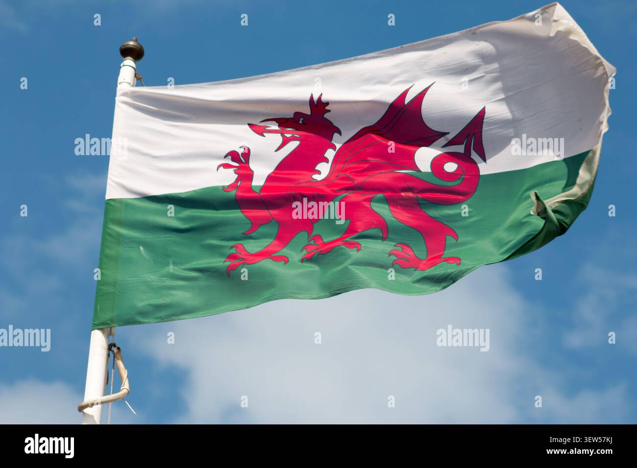 Die Flagge von Wales (auch bekannt als Red Dragon) winkt in Llandudno, einem Ferienort in Nordwales, Großbritannien. Stockfoto
