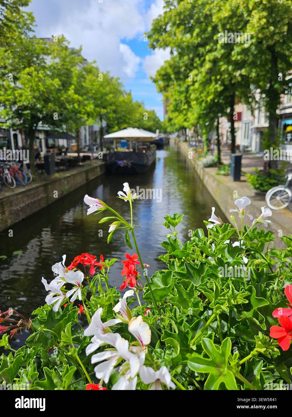 Das Leben in der Blüte - Smartphone-aufgenommenes Stockfoto