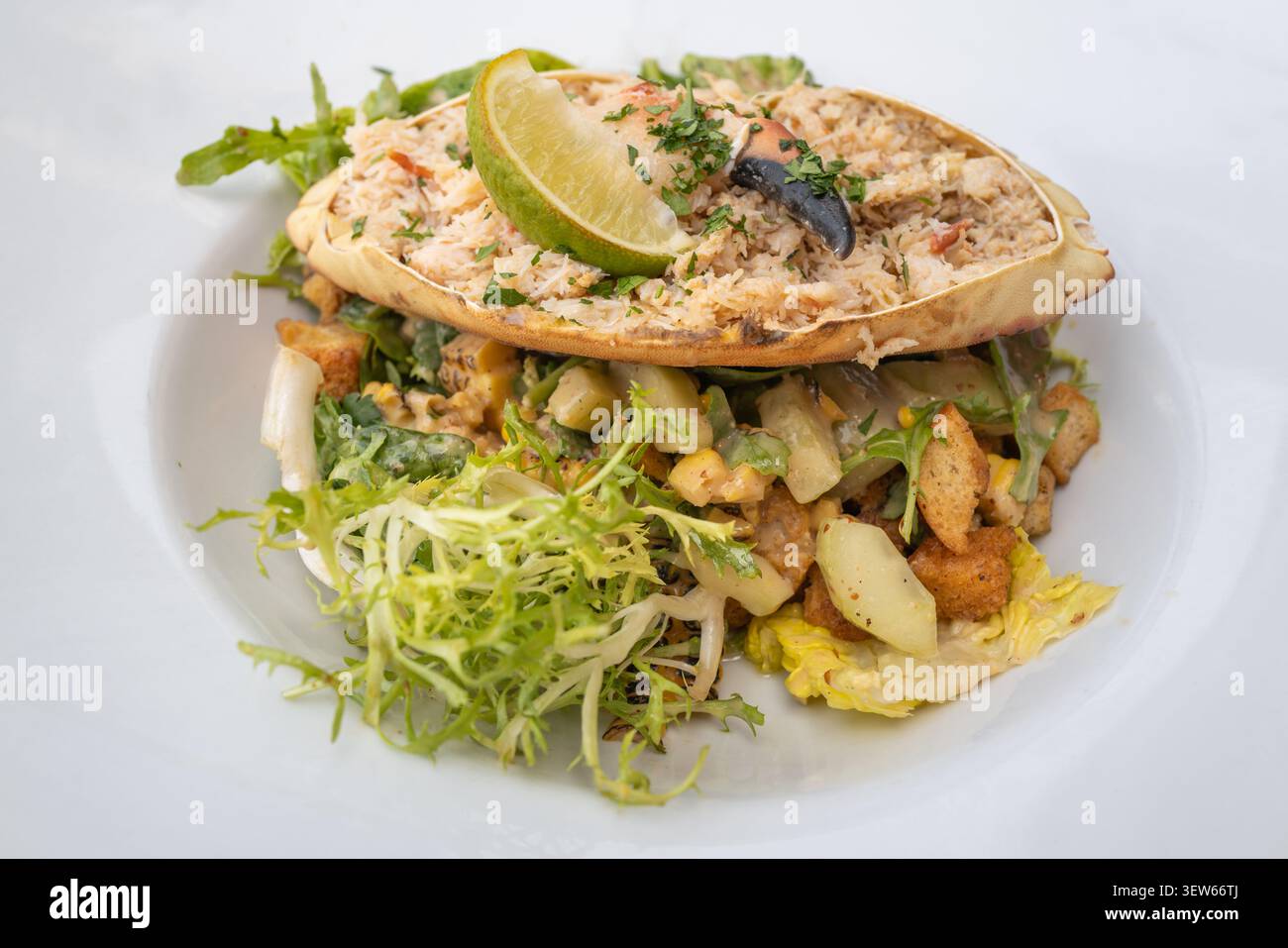 Krabbensalat auf knusprigen grünen Blättern mit verkohltem Mais und eingelegter Gurke und Krümeln. Stockfoto