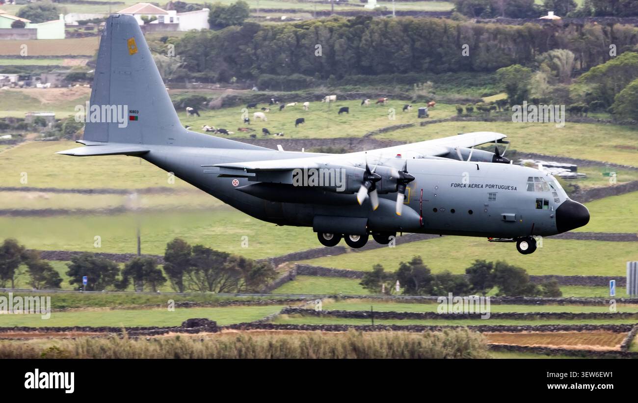 Die portugiesische Luftwaffe C-130H Hercules landet auf dem Luftwaffenstützpunkt Lajes, Azoren, Portugal Stockfoto