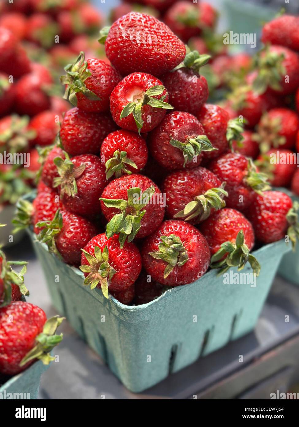 Frische, hellrote Erdbeeren werden in Kartons gestapelt, auf einem Bauernmarkt verkauft und in einer vertikalen Nahansicht gezeigt. - Smartphone-aufgenommenes Stockfoto