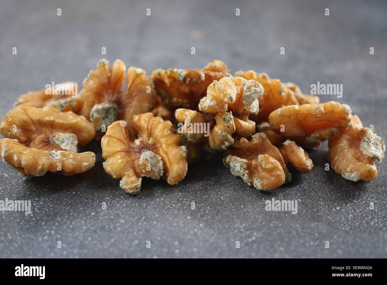 Schimmelige Walnüsse auf grauer Oberfläche bei natürlichem Licht Stockfoto