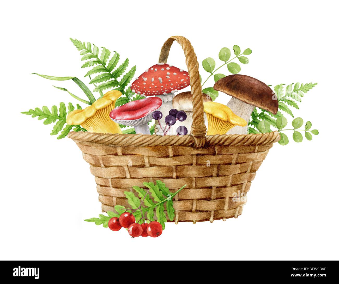 Korb gefüllt mit Waldpilzen, Preiselbeeren, Farnen und Waldpflanzen auf weißem Hintergrund. Handgemalte Herbst-Aquarellillustration Stockfoto