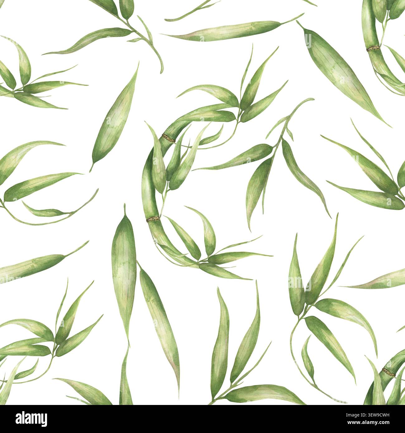 Aquarellgrüner Bambus hinterlässt ein nahtloses Muster, das Flora-Papier wiederholt Stockfoto