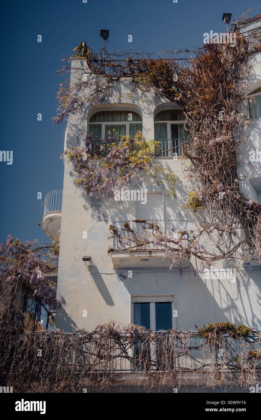 Blühende Glyzinien bedecken ein mediterranes Haus in Giardini Naxos Stockfoto